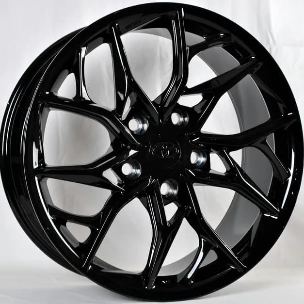 Диск TS-9221 Black R21